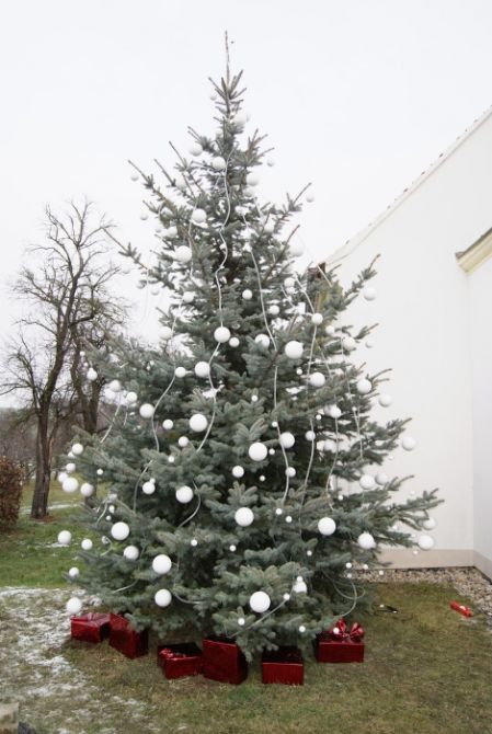 Rozsvicování Vánočního stromu